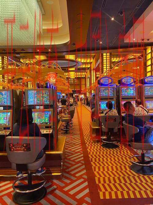 开云娱乐，体验多元化娱乐的独特魅力