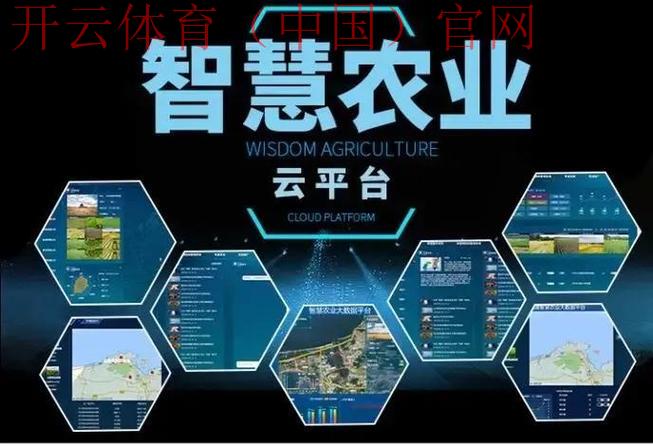 开云app，与您共享智慧化便捷体验